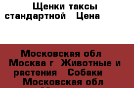 Щенки таксы стандартной › Цена ­ 4 000 - Московская обл., Москва г. Животные и растения » Собаки   . Московская обл.,Москва г.